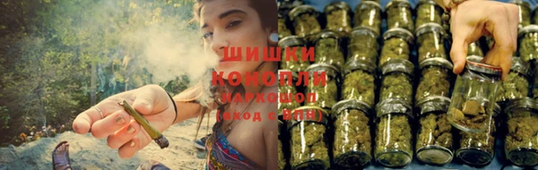 бошки Абинск