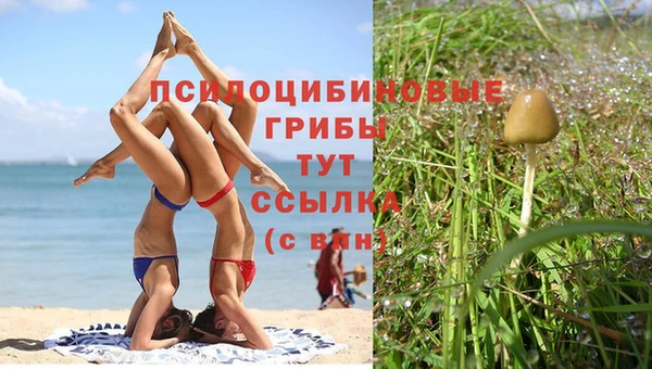 экстази Абаза