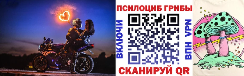 дарнет шоп  Тырныауз  Псилоцибиновые грибы Psilocybe 